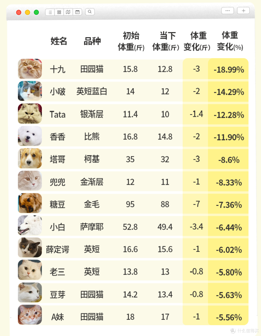 您家毛孩是“胖墩”还是“型男”?一份科学体态评估指南请查收!