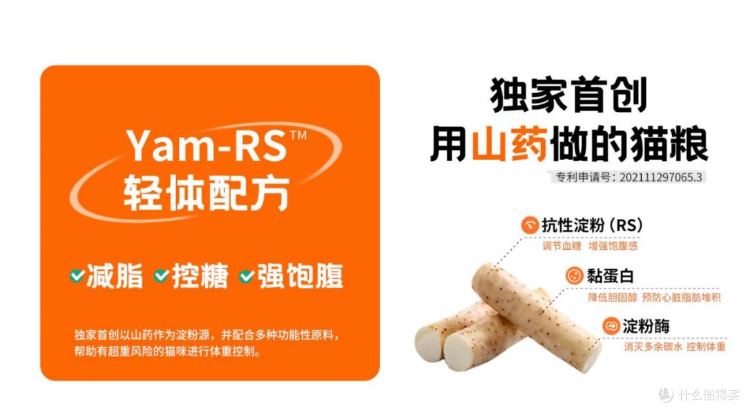 您家毛孩是“胖墩”还是“型男”?一份科学体态评估指南请查收!