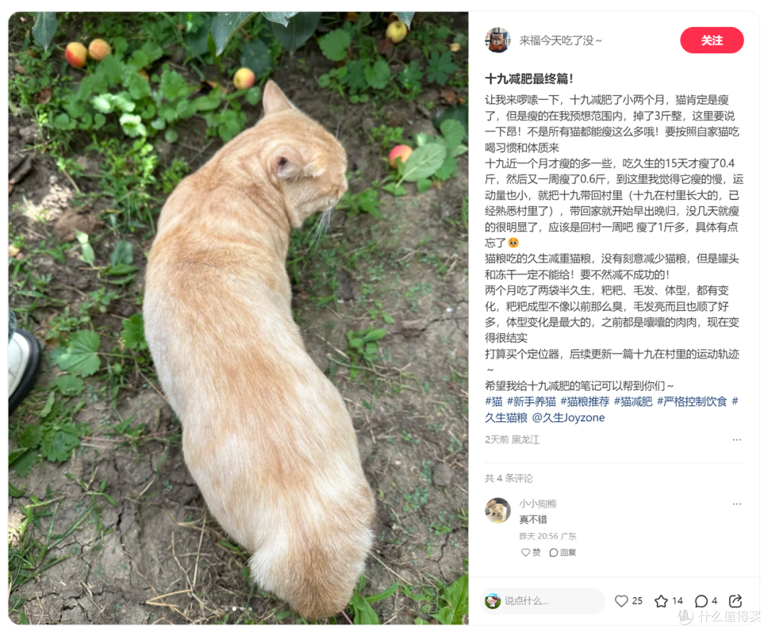 您家毛孩是“胖墩”还是“型男”?一份科学体态评估指南请查收!