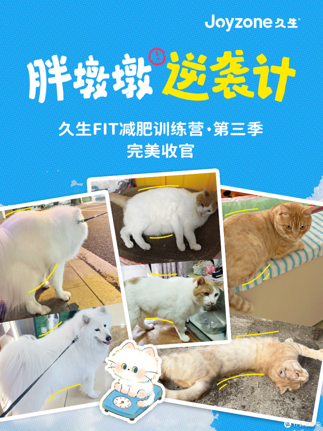 您家毛孩是“胖墩”还是“型男”?一份科学体态评估指南请查收!