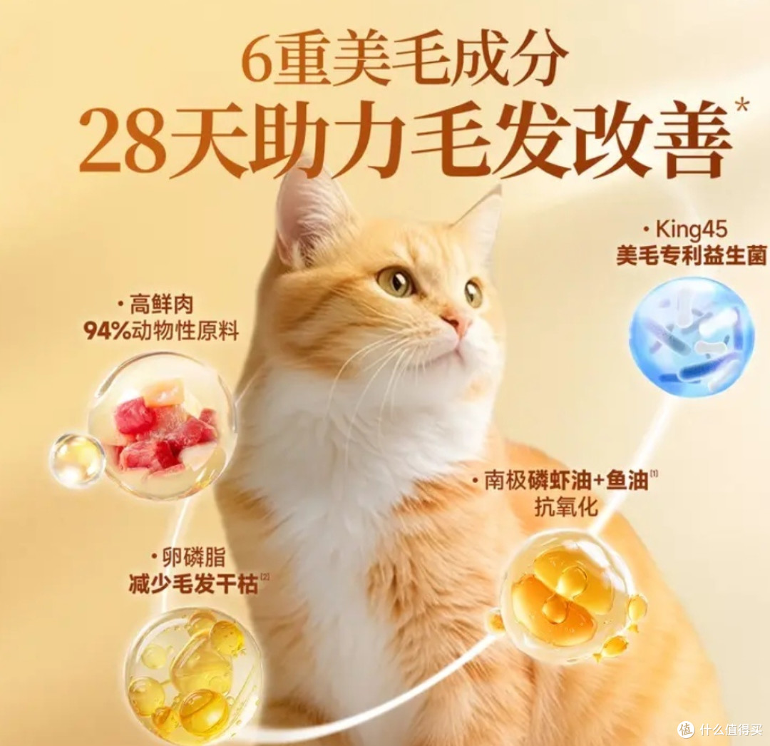 高蛋白烘焙粮，挑嘴猫咪也爱！