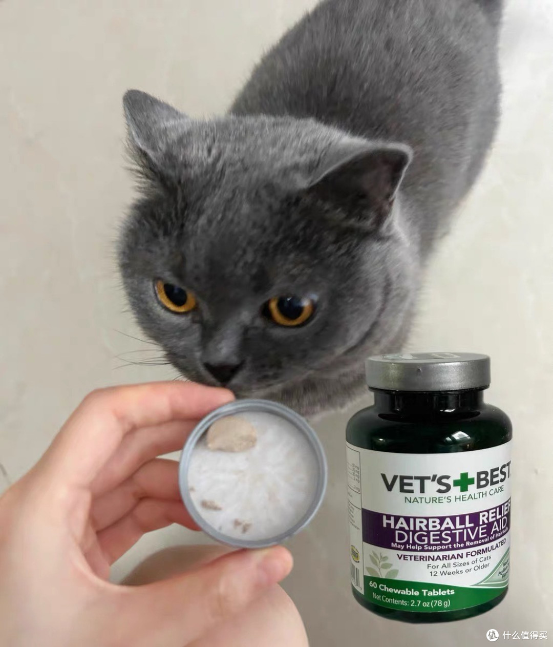 天然成分猫草片调理猫咪肠胃健康