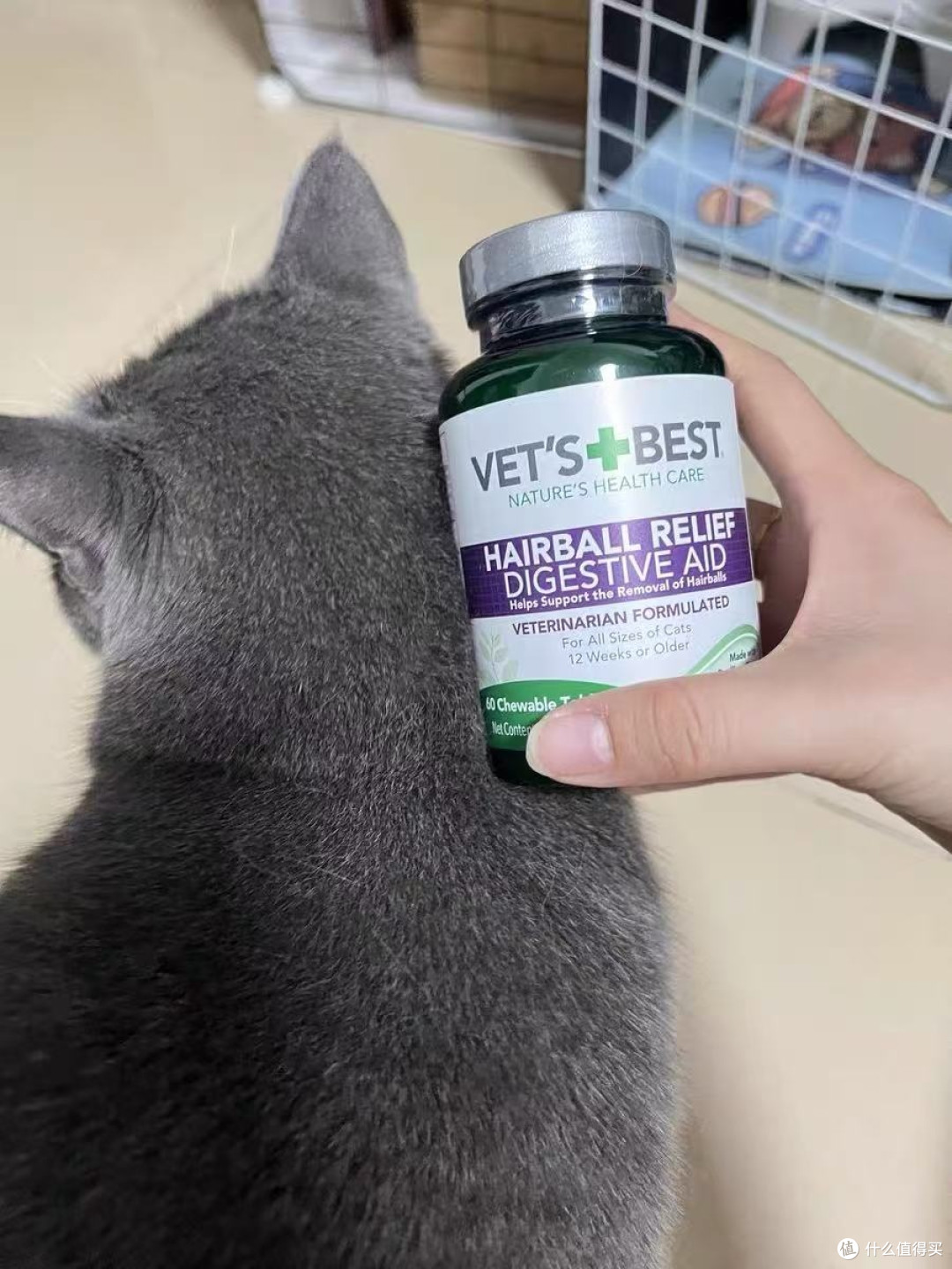植物配方猫草片改善猫咪健康状况