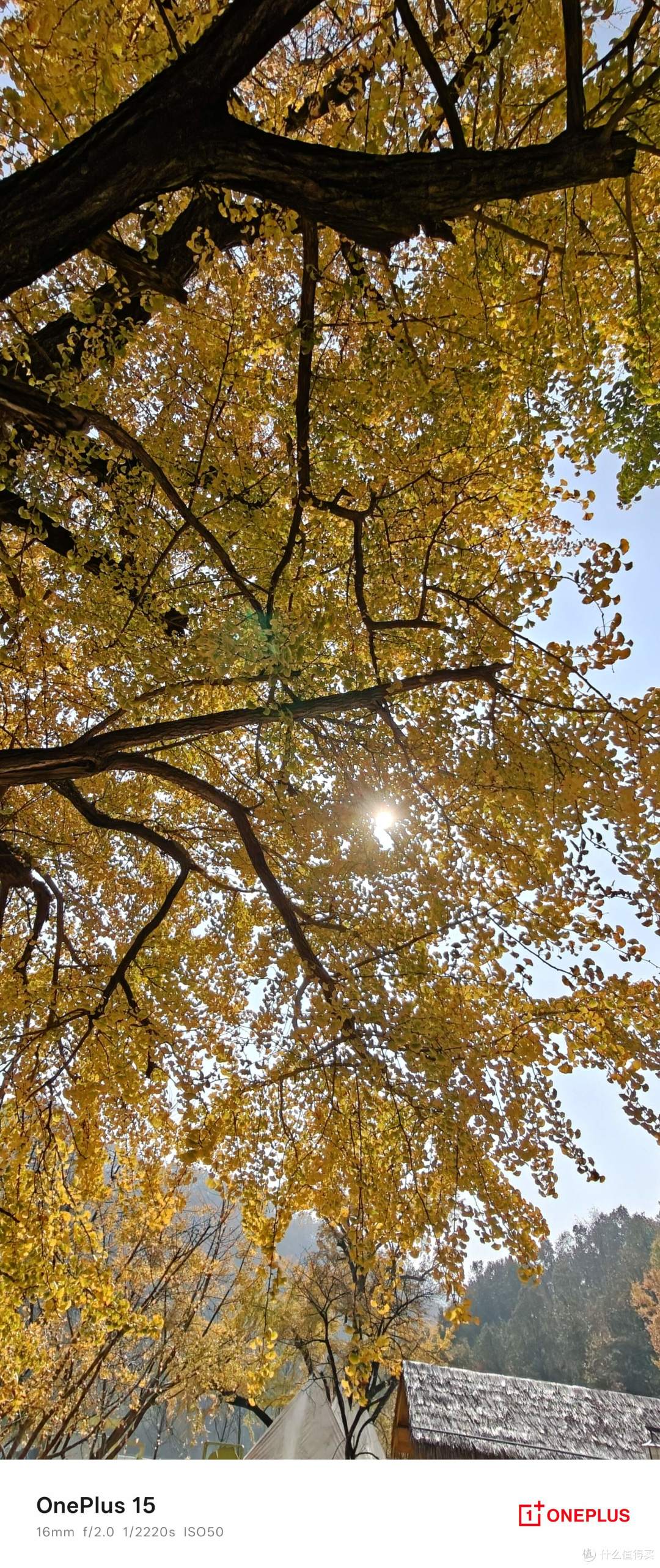 游戏玩家转投一加 15:打游戏不卡不烫了,充电快到离谱!