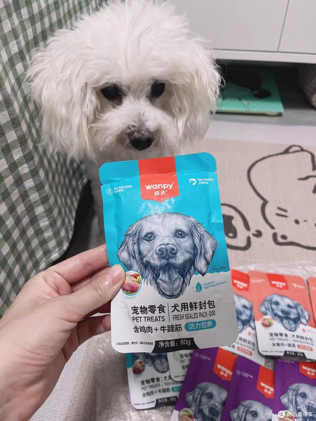 Wanpy顽皮牛肉湿粮鲜封包体验:泰迪挑食终结者,拌粮补水双在线