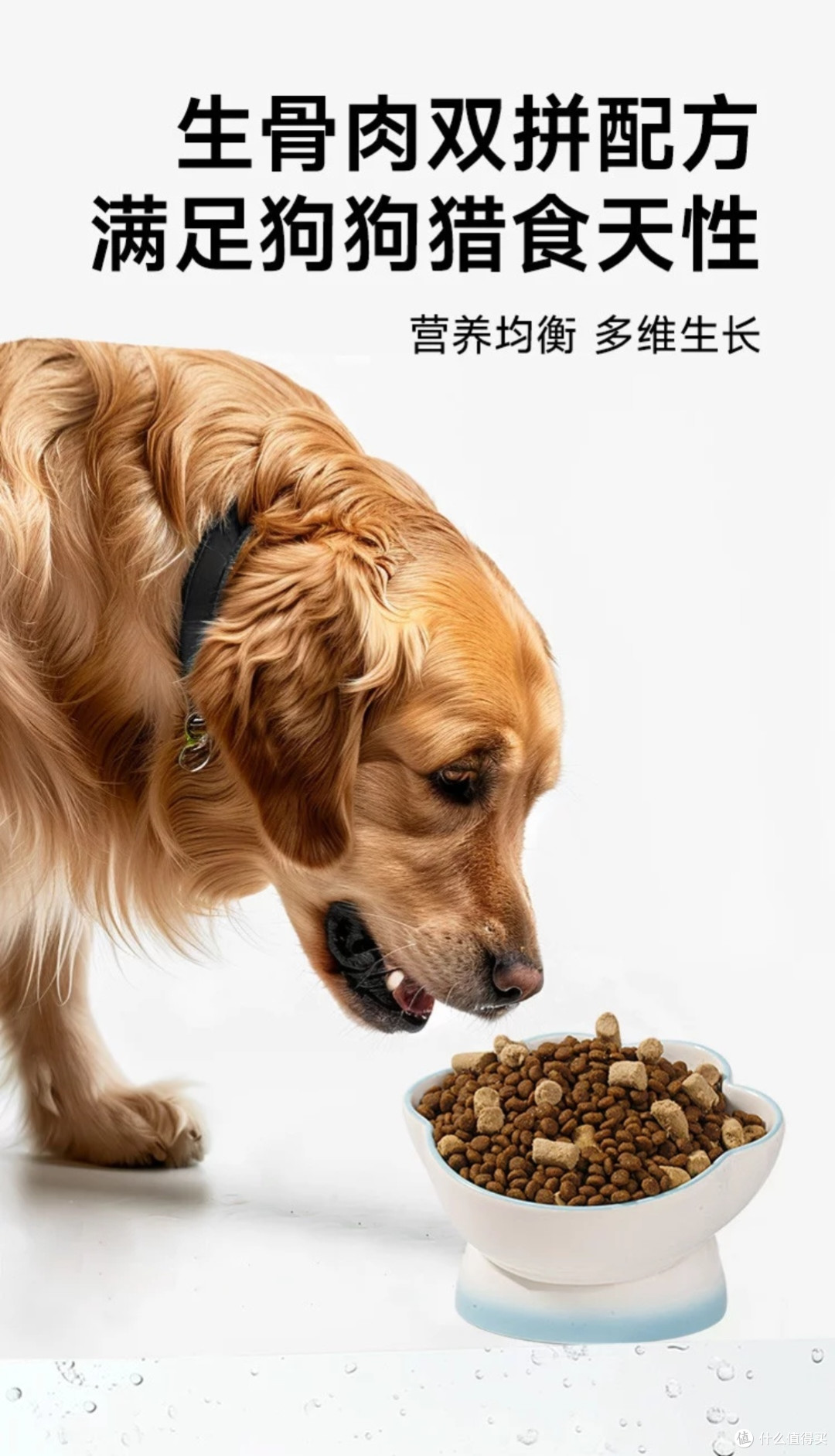 威尔逊馋嘴鸭肉梨狗粮深度测评