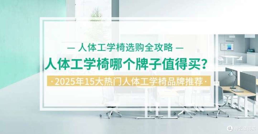 人体工学椅哪个牌子值得买？2025年15大热门人体工学椅品牌推荐