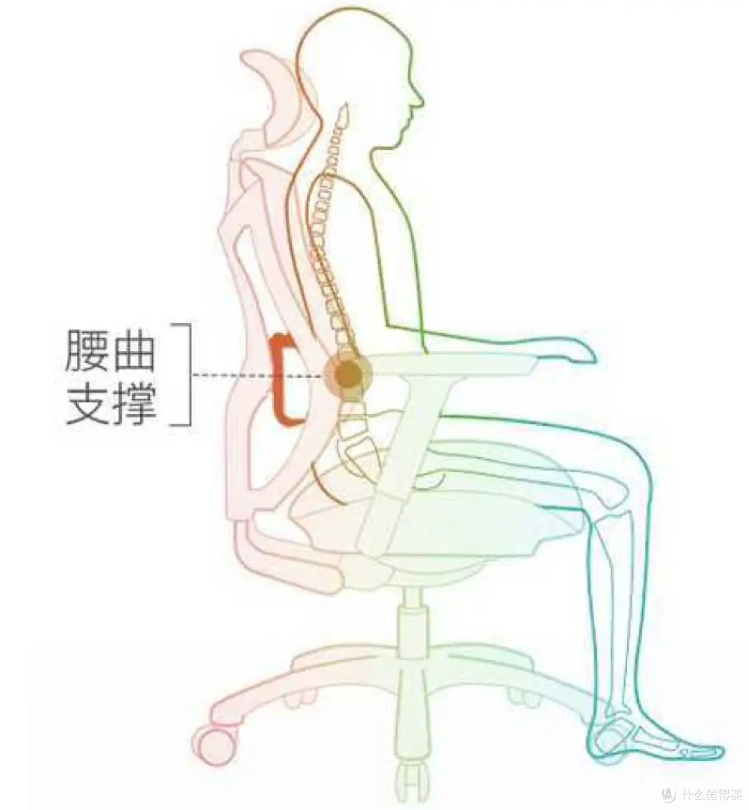 人体工学椅哪个牌子值得买？2025年15大热门人体工学椅品牌推荐