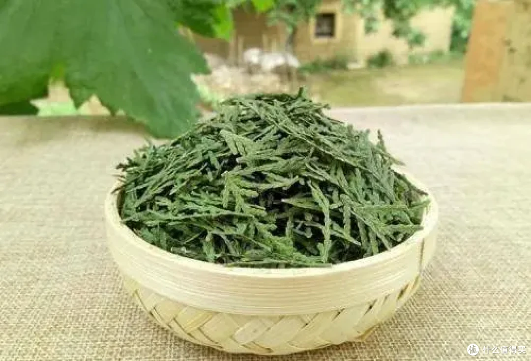 育妍堂开挂！学生党头油头屑退！退！退！