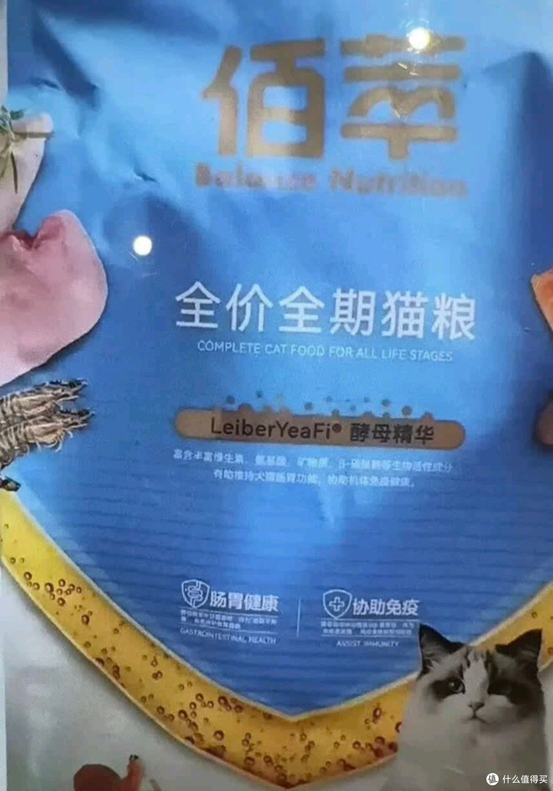 换粮成功！麦富迪佰萃让我家挑食猫主动吃饭了