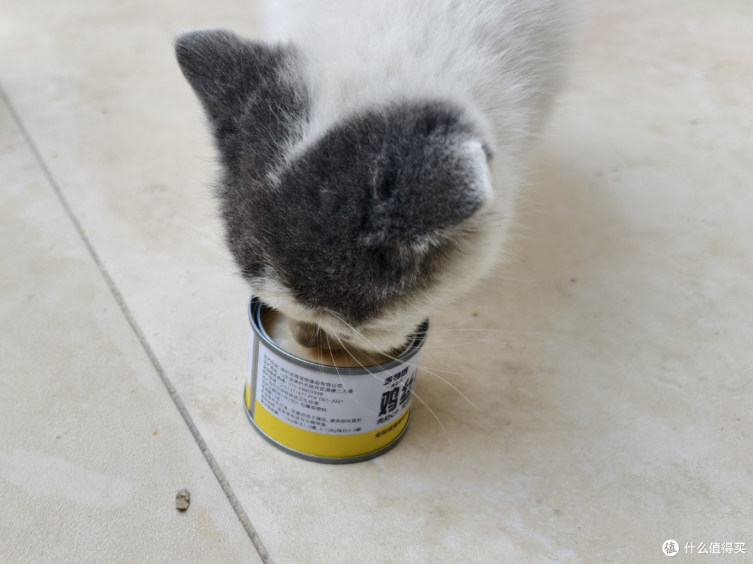 双十一养猫人必看:这款让猫咪舔盘的羊奶罐,到底藏着什么秘密?