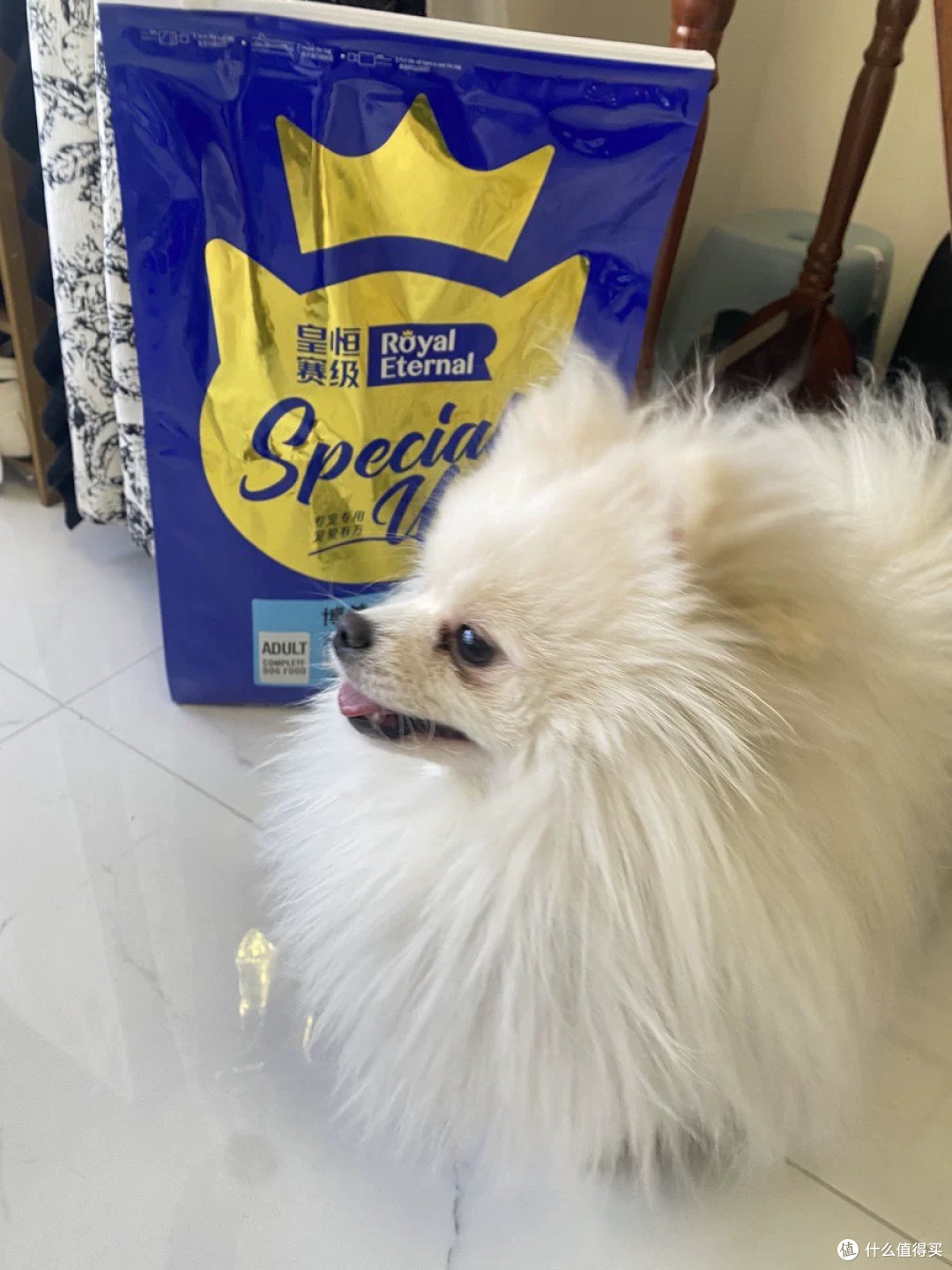 双11必囤!博美成犬专属狗粮,让毛孩子吃得香少生病