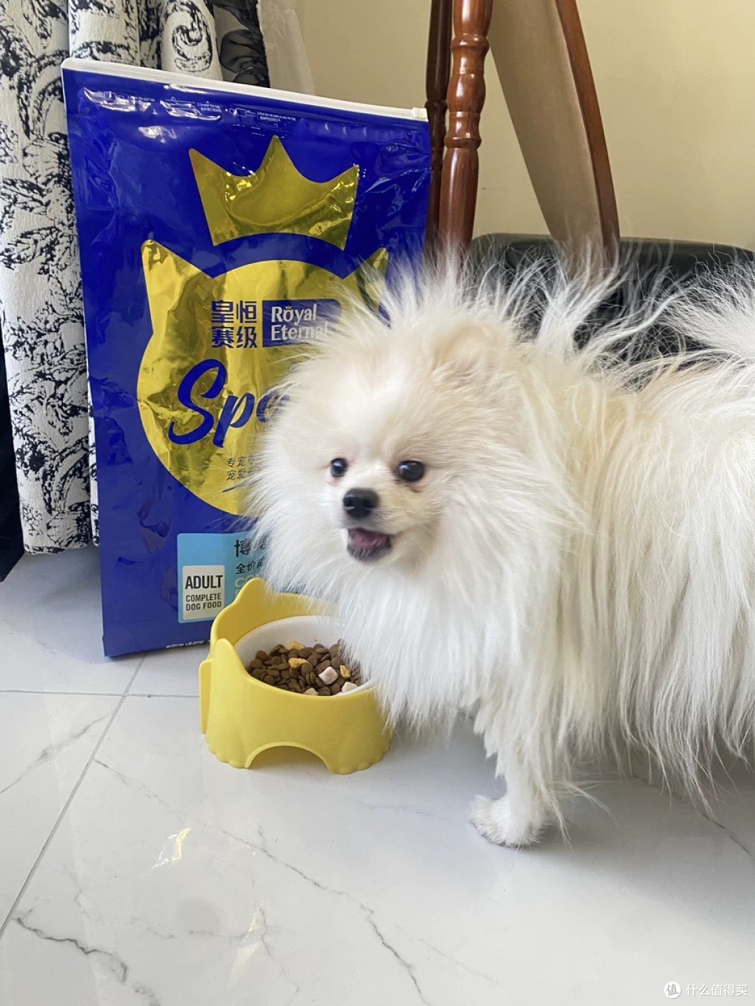 双11必囤!博美成犬专属狗粮,让毛孩子吃得香少生病