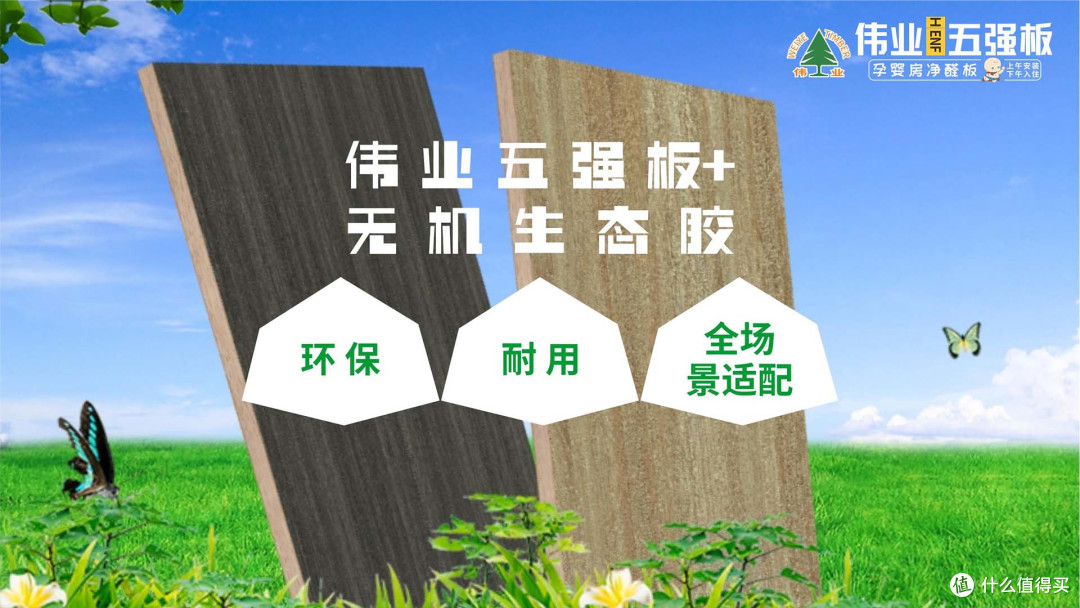 拒绝家装问题!伟业五强板:无机生态胶,家装不做选择题
