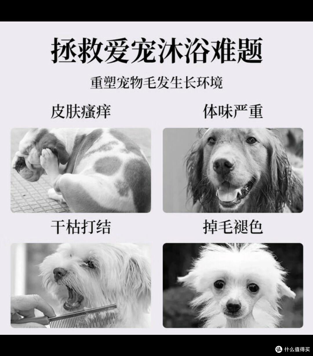 双十一囤雪貂留香沐浴露,宠物焕新就靠它!
