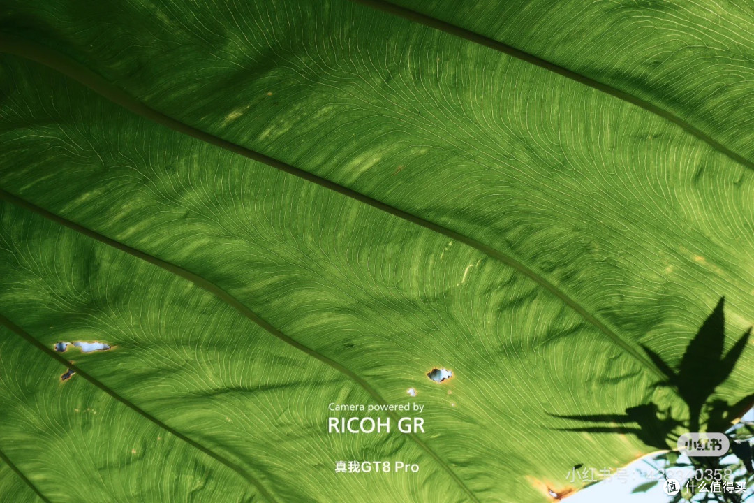 真我GT8 Pro|理光GR模式记录下的光影