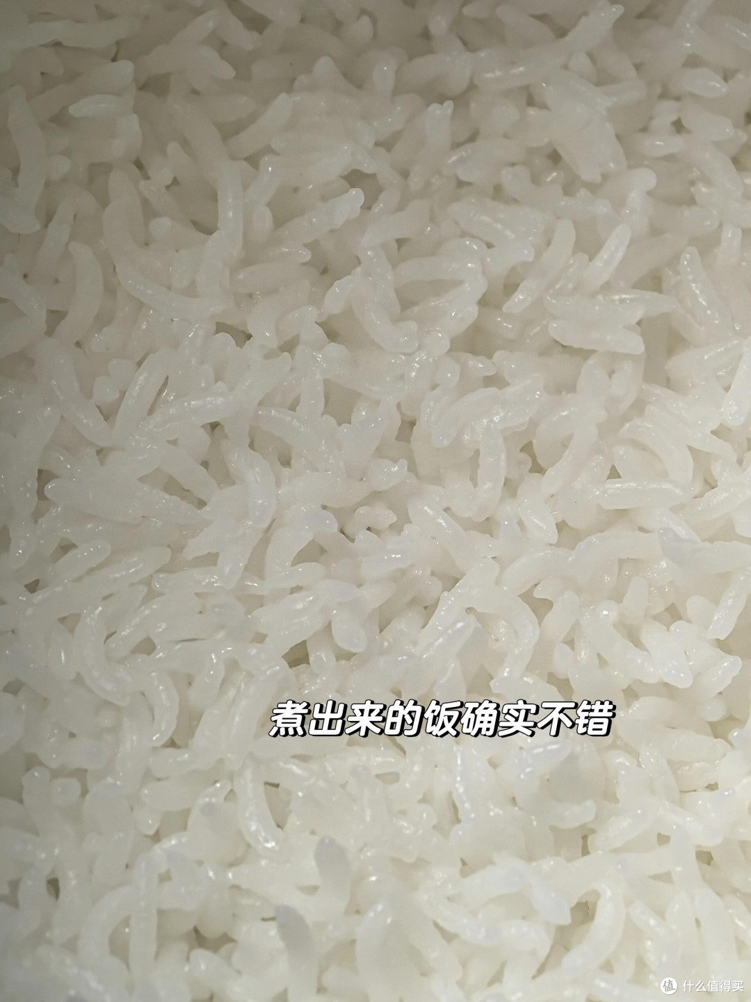 米饭星人狂喜!这台电饭煲让干饭幸福感翻倍