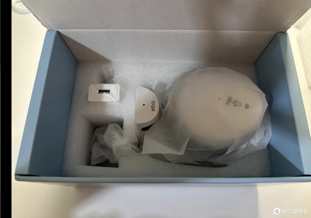 EBO智能摄像头：移动陪伴与宠物照看
