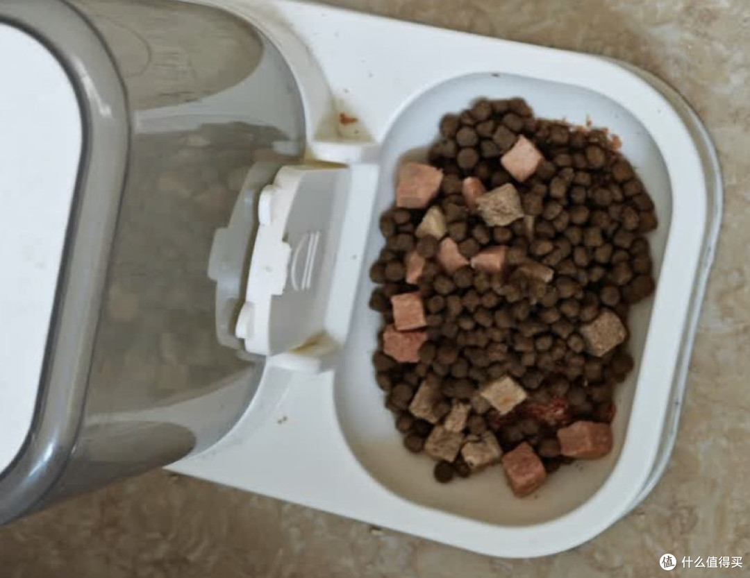 冻干双拼就是充电宝!麦富迪让毛球肚皮圆滚滚电力满格。