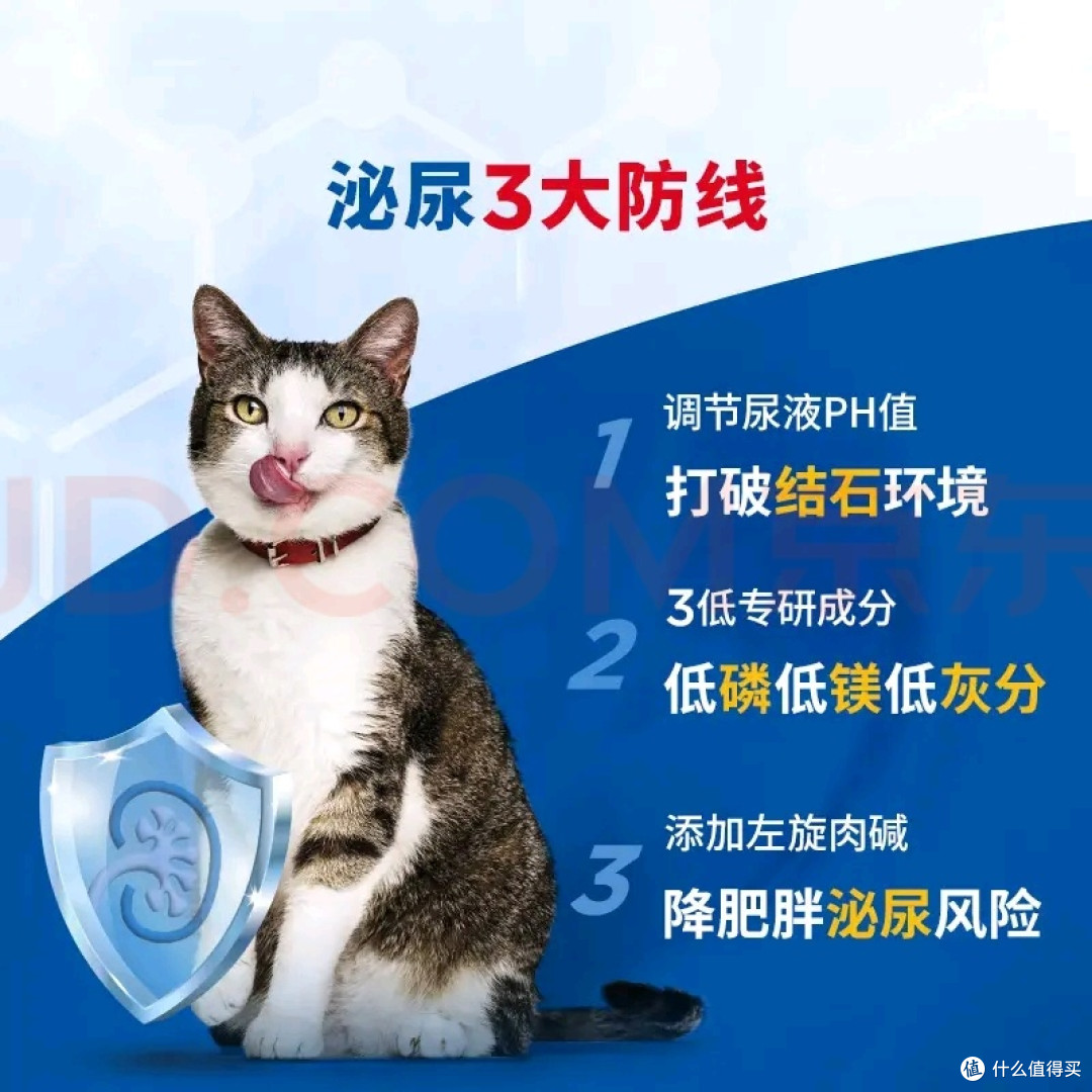 成猫粮实测:守护泌尿与去毛球