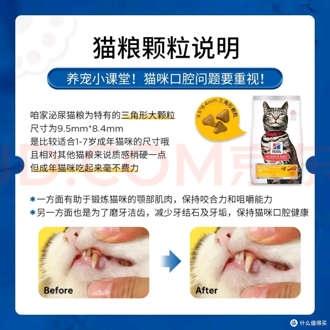 成猫粮实测:守护泌尿与去毛球