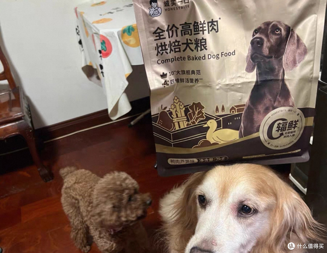 双十一囤狗粮使用心得，摸索出最佳搭配