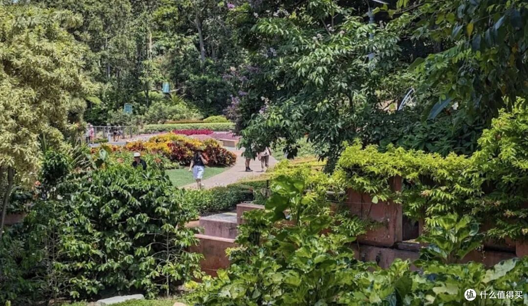 澳洲不花钱可以呆一整天的公园