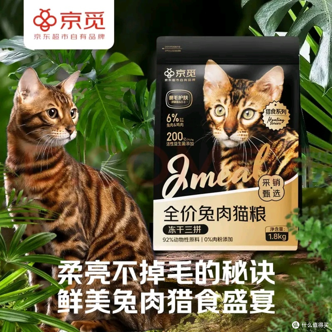 猫咪饮食与护理好物推荐