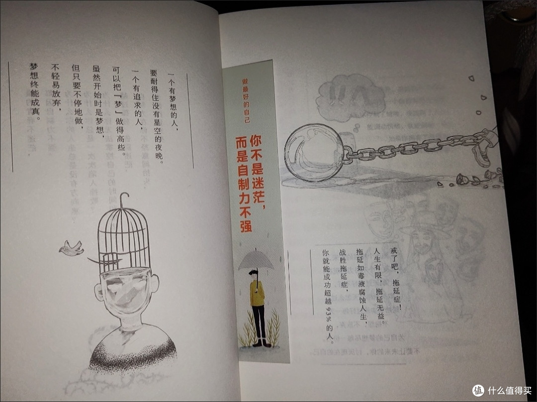 读完《你不是迷茫,而是自制力不强》,我终于告别内耗失控