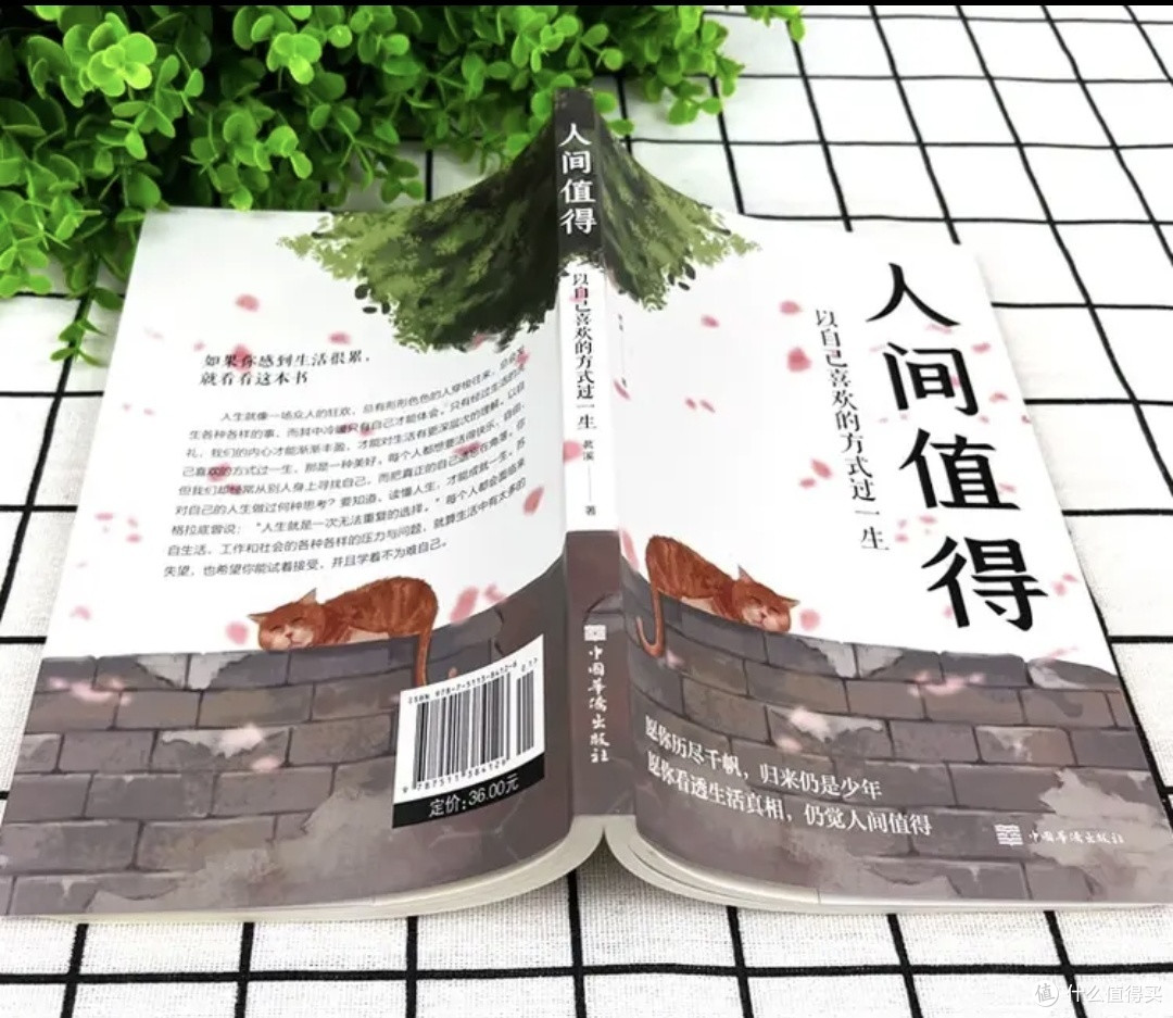 《人间值得》读后感：以自己的方式，赴一场人生之约

 