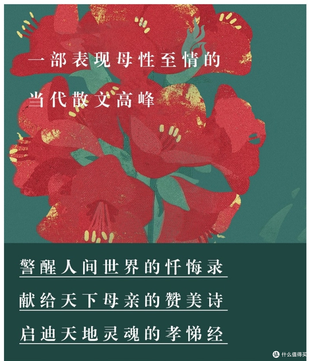 读完泪目!新华社7次力荐的《娘》,道尽天下母爱重量