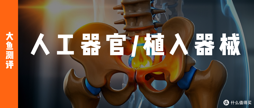 大鱼测评第1486篇原创