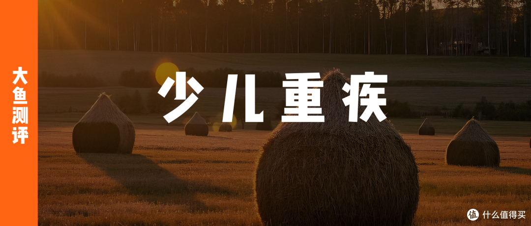 大鱼测评第1490篇原创
