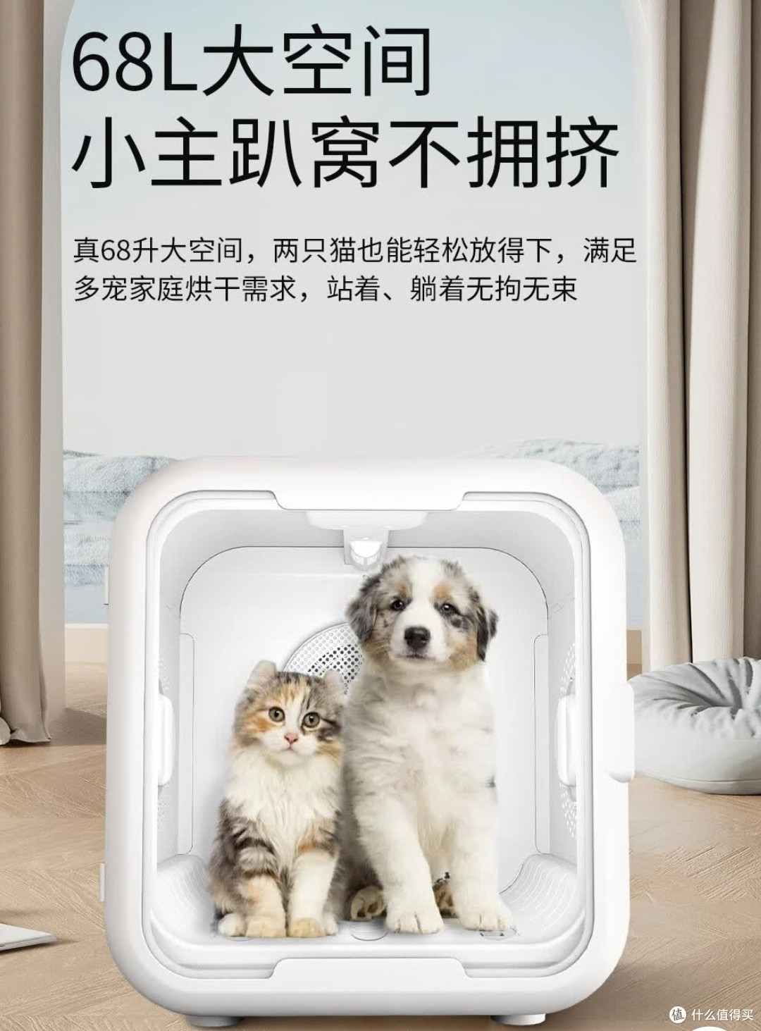 解放双手的吹毛神器，猫咪狗狗都不抗拒