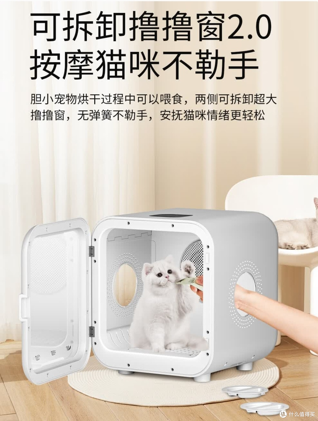 解放双手的吹毛神器，猫咪狗狗都不抗拒