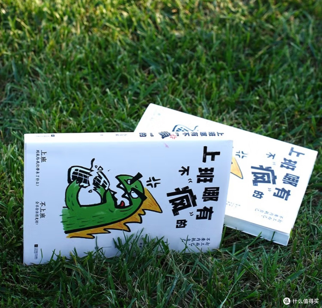 读《上班哪有不“疯”的》:职场人的解压共鸣与治愈良方