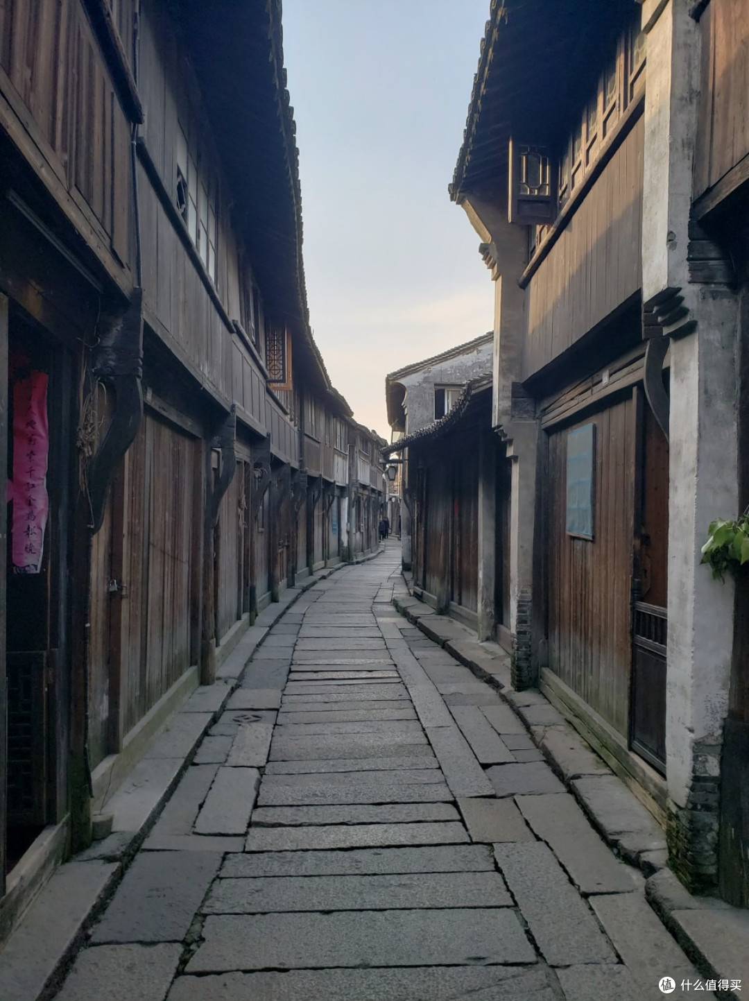秋游乌镇！稻田古桥慢逛超惬意