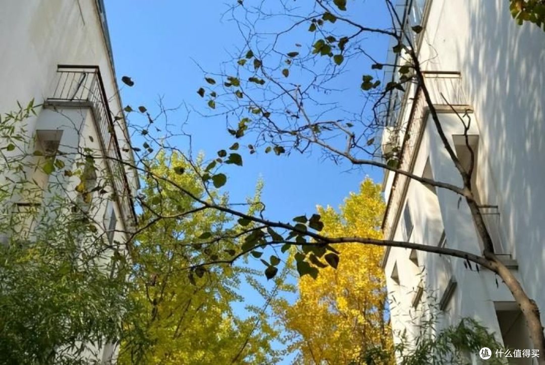 卖掉原来高层,搬回步梯房后找回舒适感,发现高层其实是智商税!