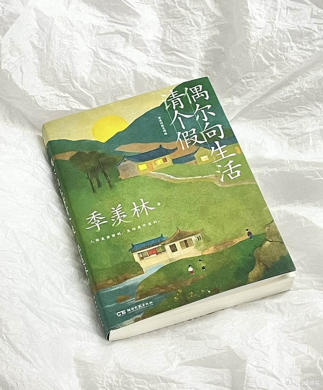 一眼沦陷!🍃这本书真的太减压太治愈了