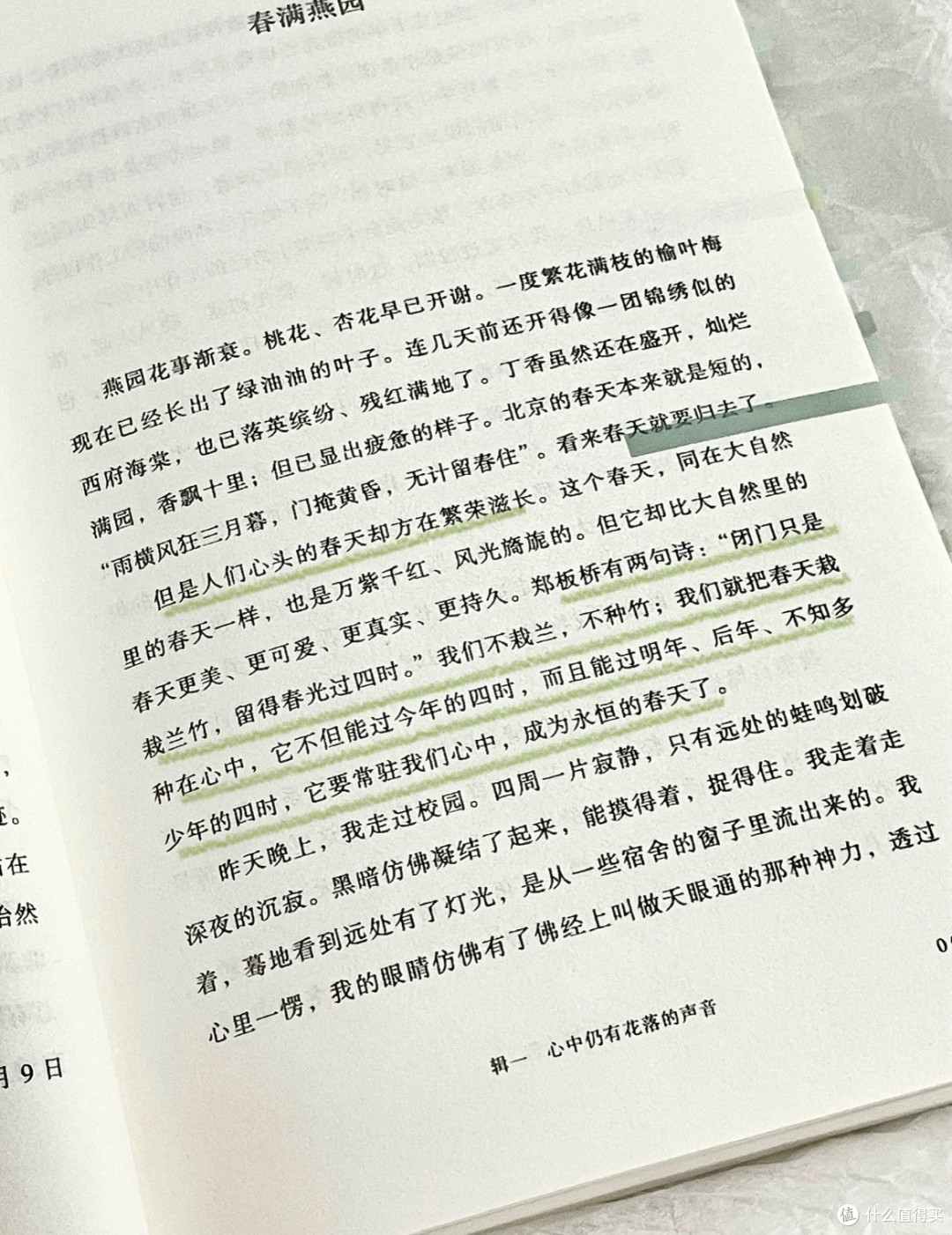 一眼沦陷!🍃这本书真的太减压太治愈了