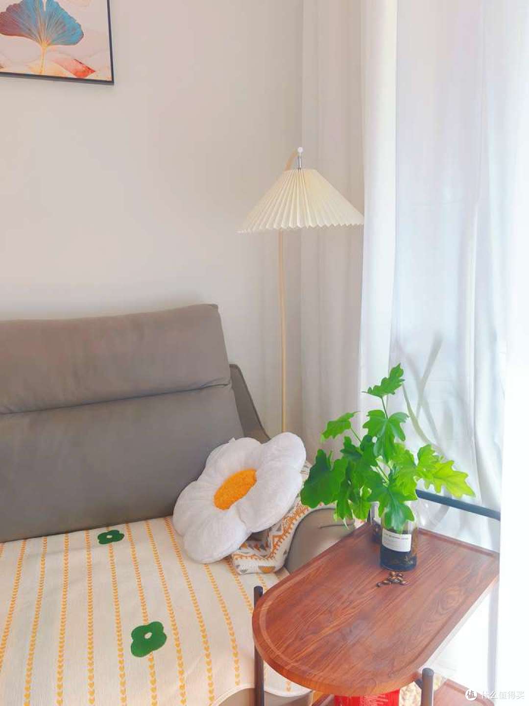 冬日的家里,有哪些鲜花绿植最能点亮沉闷空间?