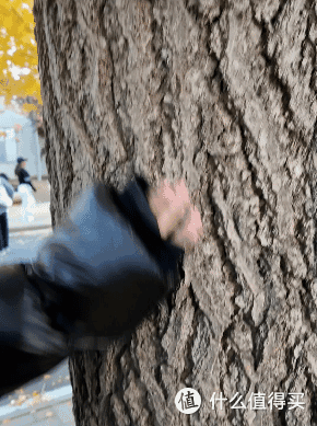 硬核抗寒GaKior 羽绒服测评：非常规设计，对标万元极地防寒标准