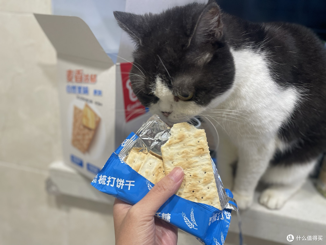 吃了这么多,还是常回购嘉顿苏打饼