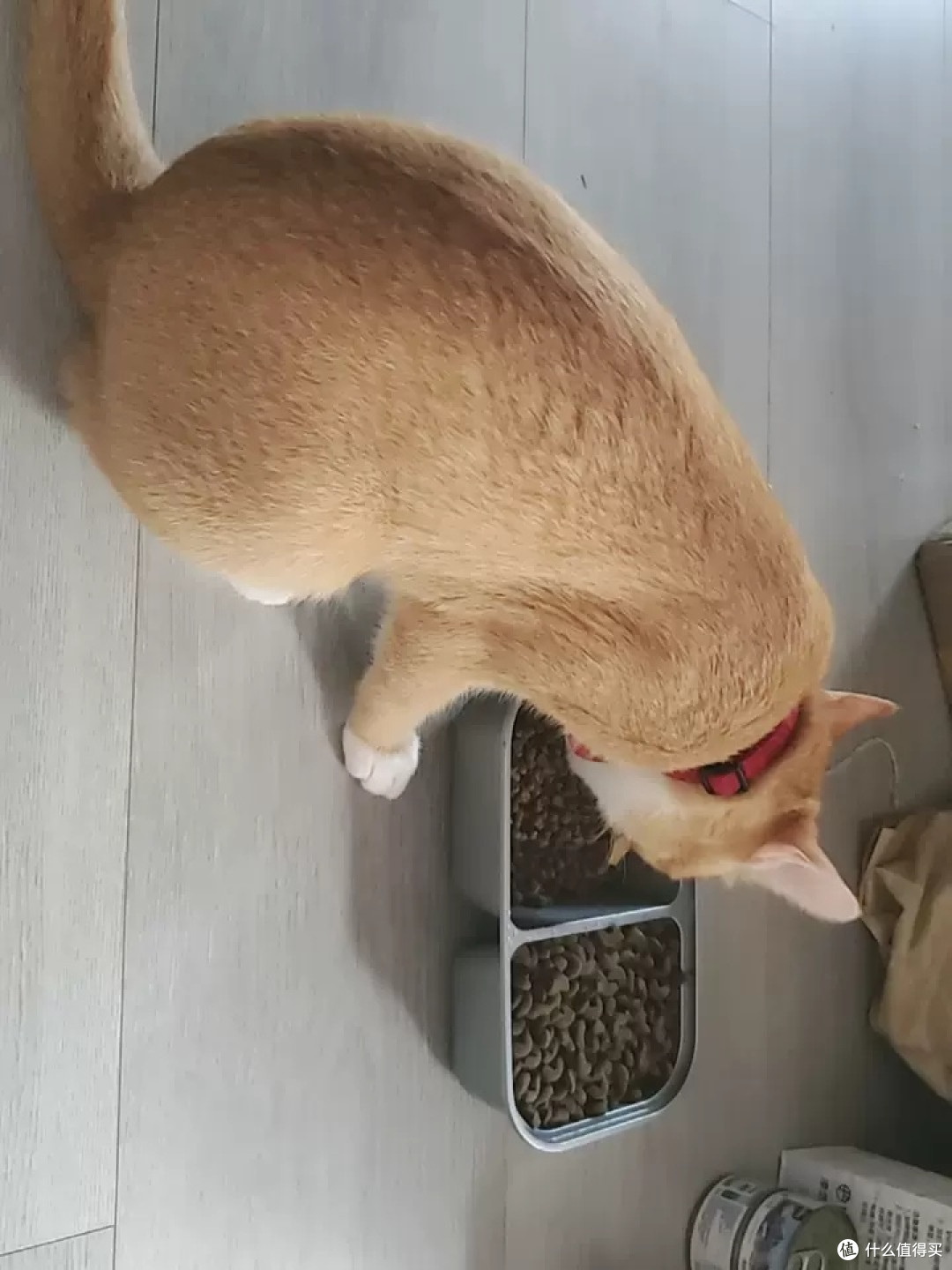 网易严选兔肉冻干粮体验