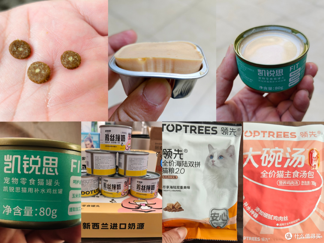 从治鼠到家人：一年三猫，一个新手铲屎官的酸甜苦辣与省钱心得