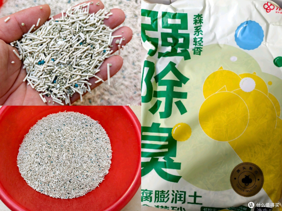 从治鼠到家人：一年三猫，一个新手铲屎官的酸甜苦辣与省钱心得