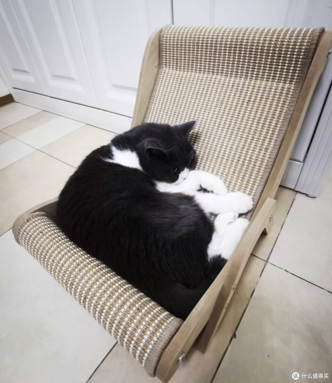 🐱猫沙发推荐|双11给主子添置的“豪华躺椅”