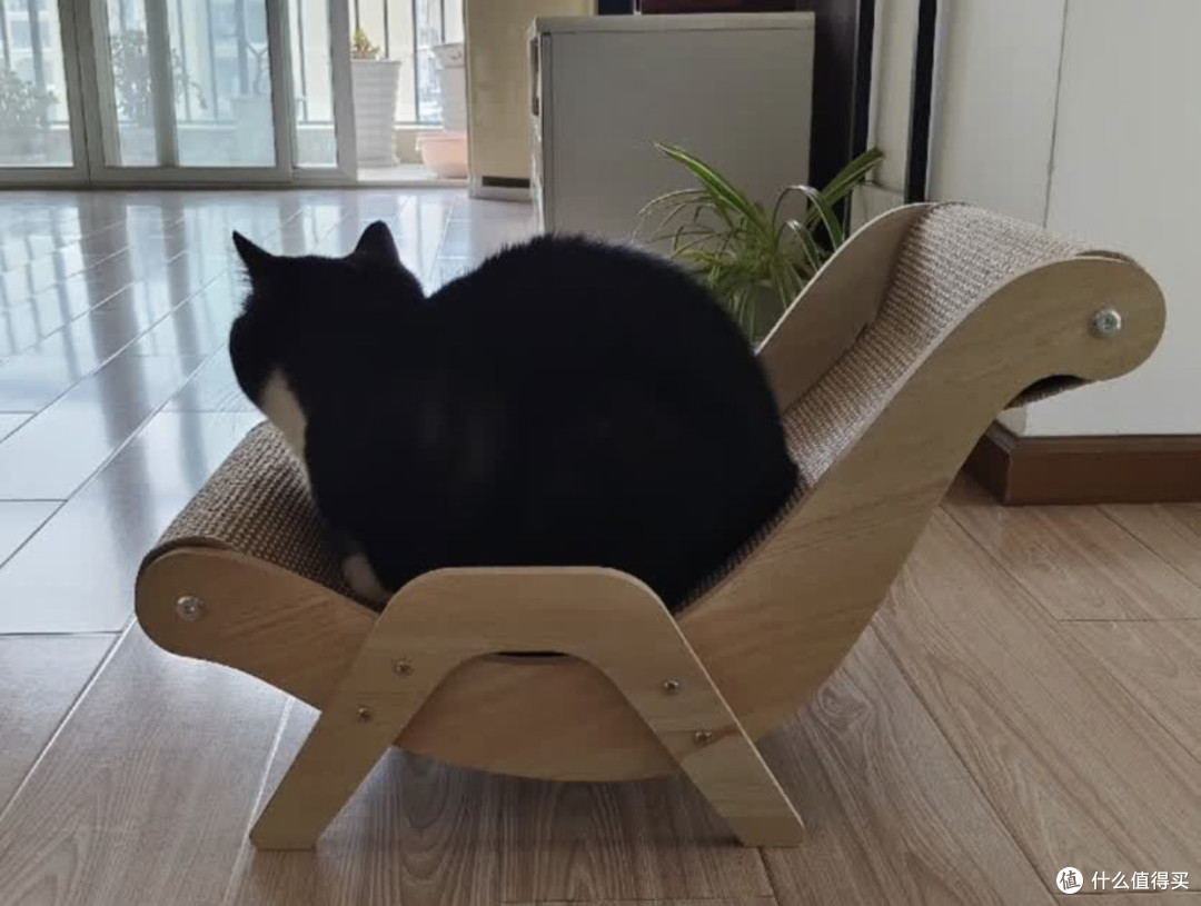 🐱猫沙发推荐|双11给主子添置的“豪华躺椅”