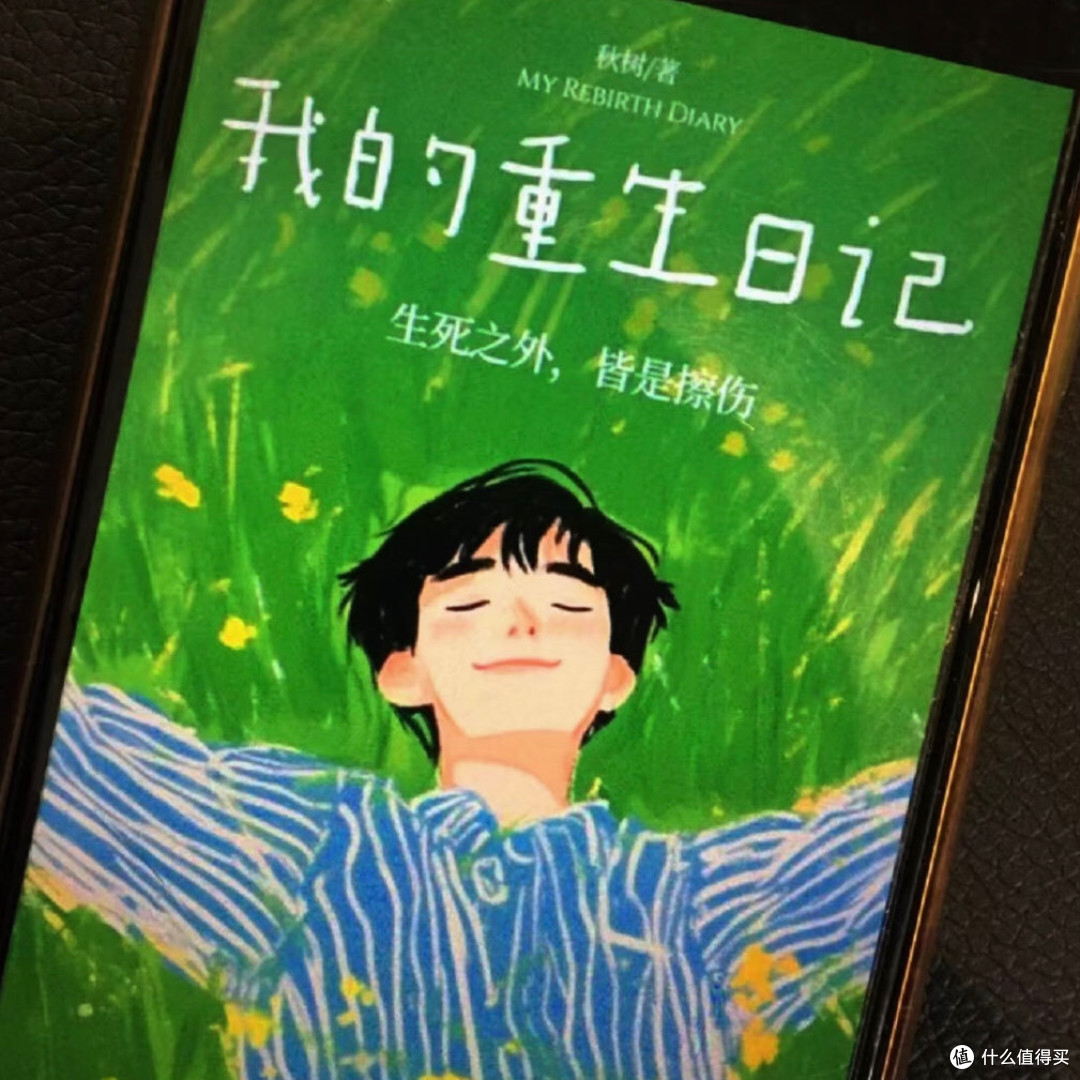 《我的重生日记:生死之外,皆是擦伤》,读完只想安静坐一会儿。