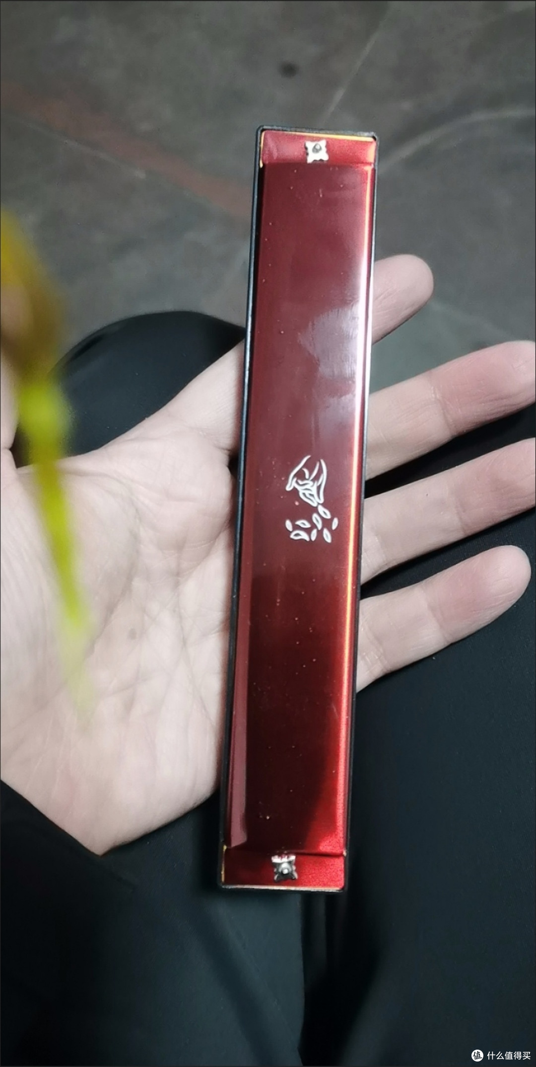 双十一购后晒:国光24孔国之梦口琴的“音乐进阶路”